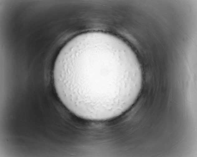 X0000088071407200706081700