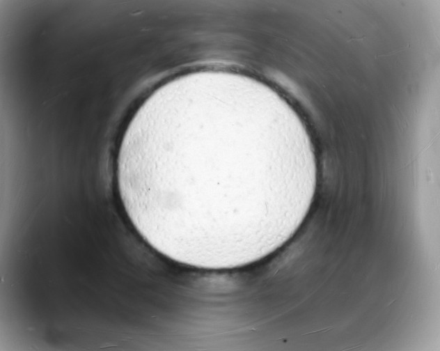 X0000088071408200706081700