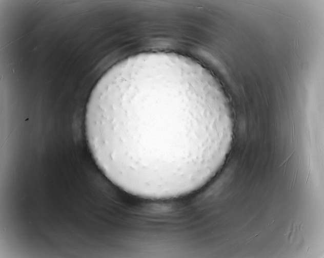 X0000088071409200706081700