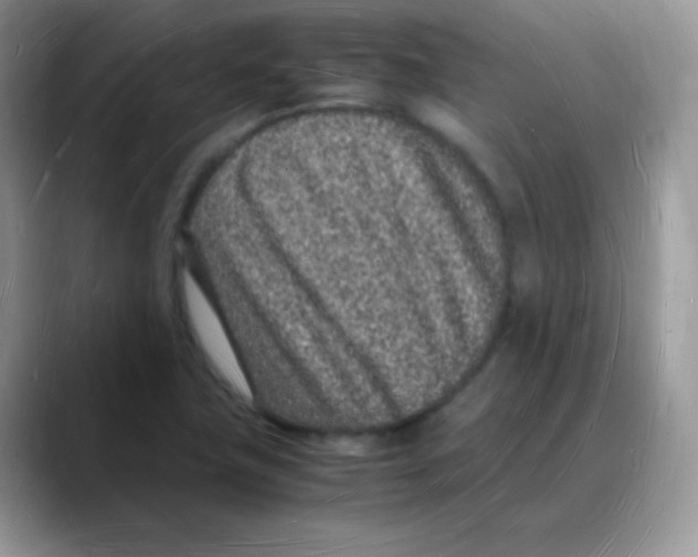 X0000088071411200706081700