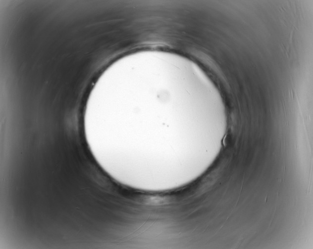 X0000088071412200706081700
