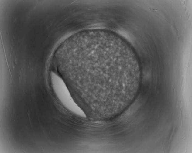 X0000088071413200706081700