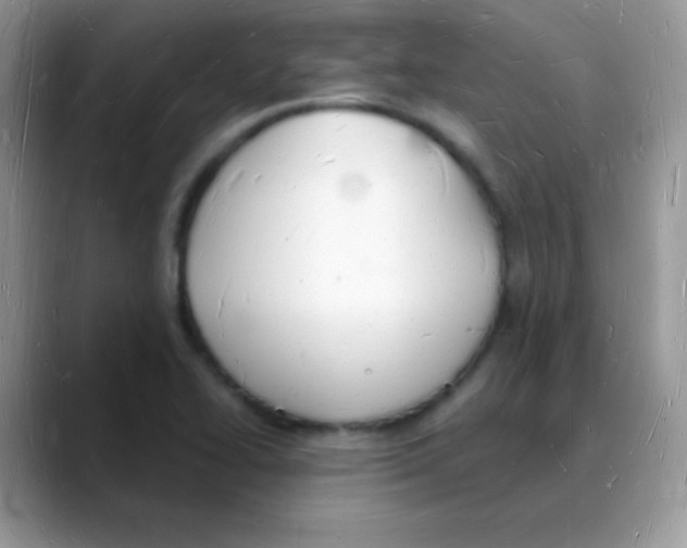 X0000088071414200706081700