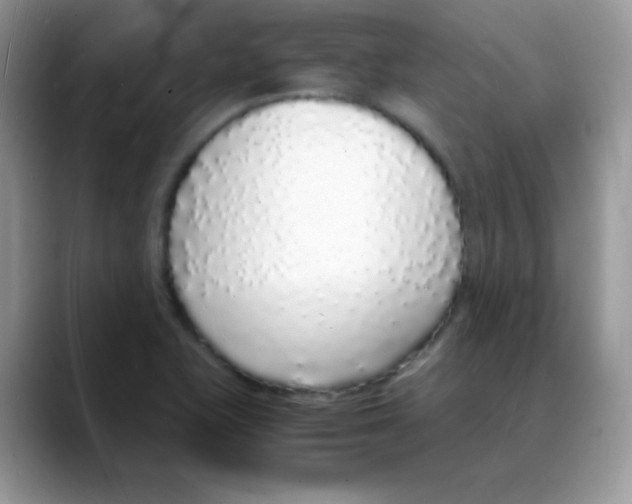X0000088071415200706081700