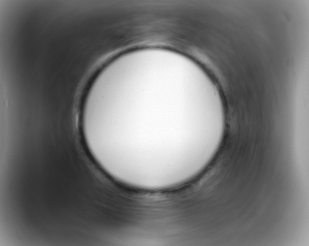 X0000088071416200706081700