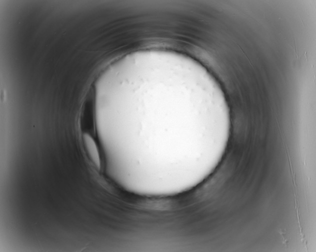 X0000088071417200706081700
