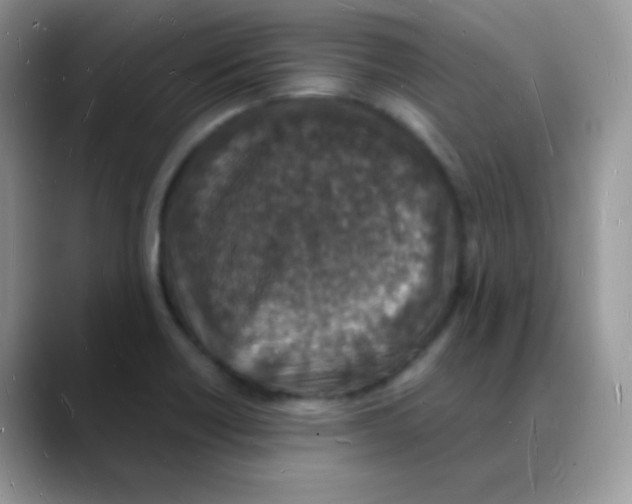 X0000088071418200706081700