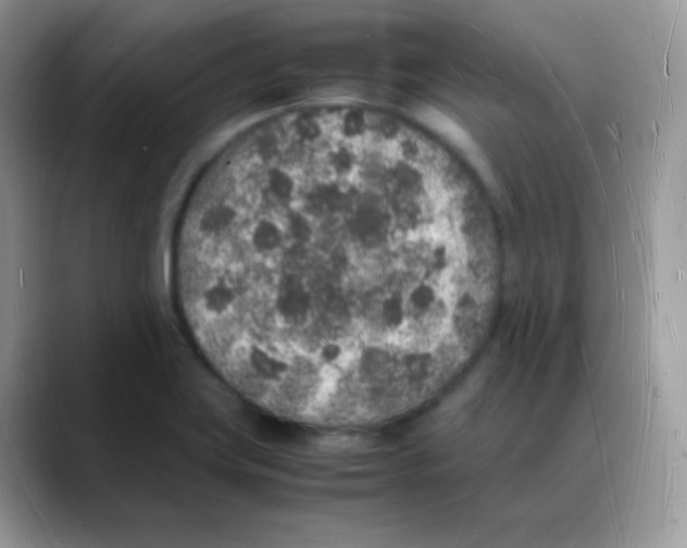 X0000088071419200706081700