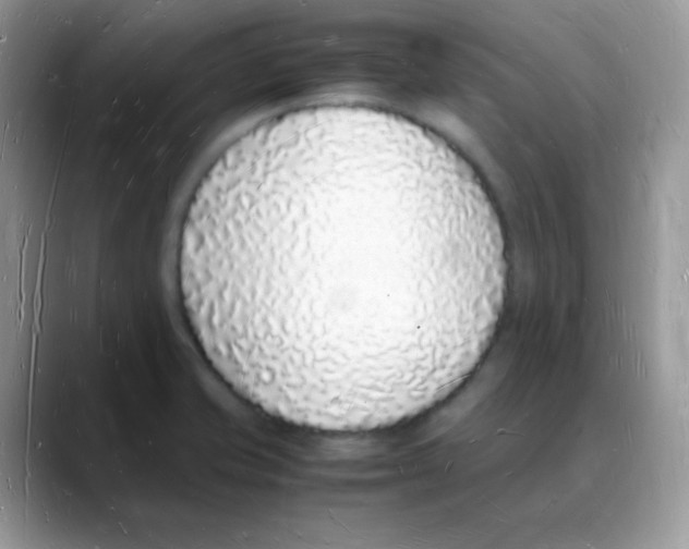X0000088071421200706081700