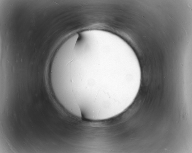 X0000088071422200706081700