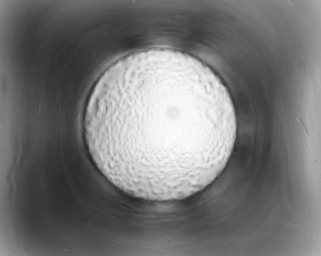 X0000088071423200706081700