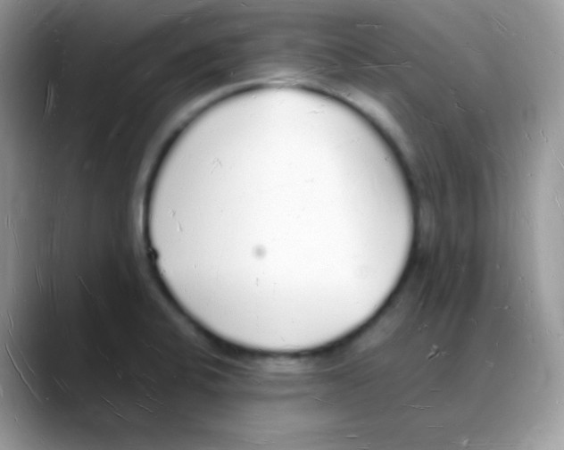 X0000088071424200706081700