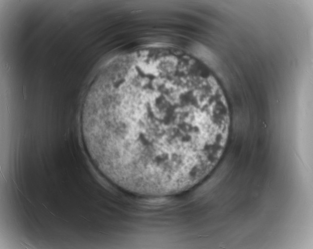 X0000088071425200706081700