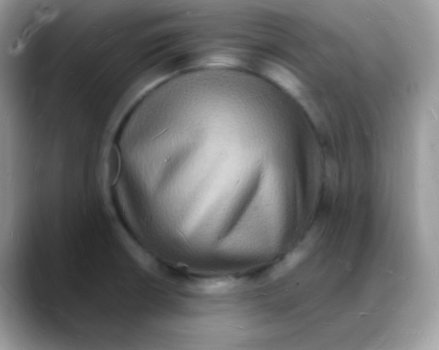 X0000088071426200706081700