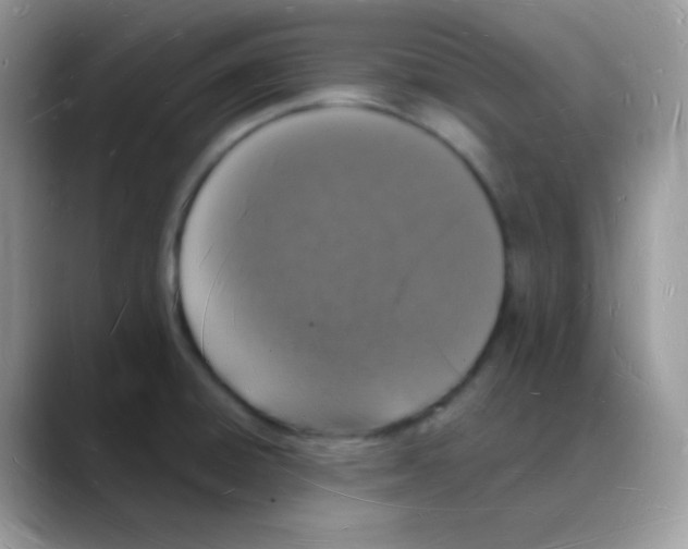 X0000088071428200706081700