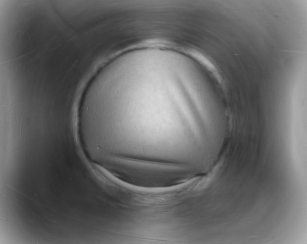 X0000088071430200706081700