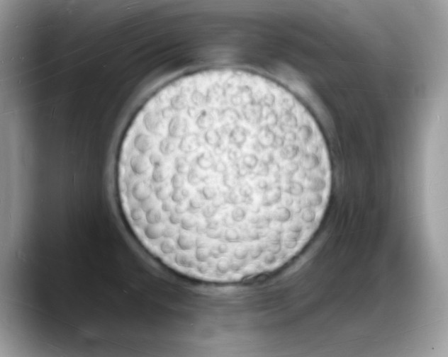 X0000088071432200706081700