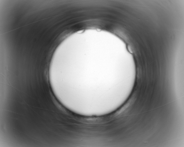 X0000088071433200706081700