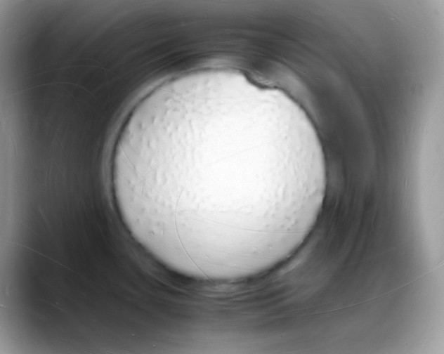 X0000088071435200706081700