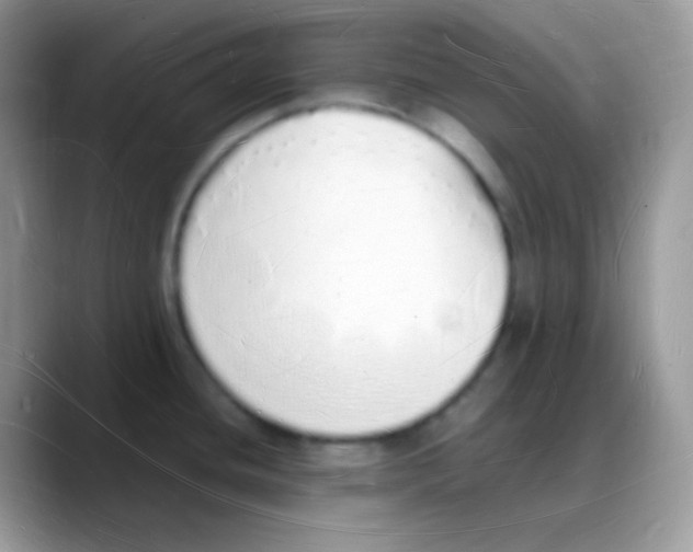 X0000088071436200706081700