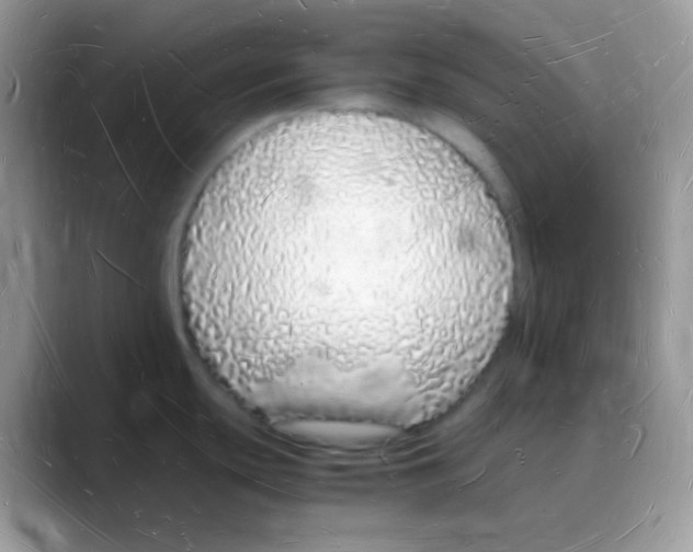 X0000088071439200706081701