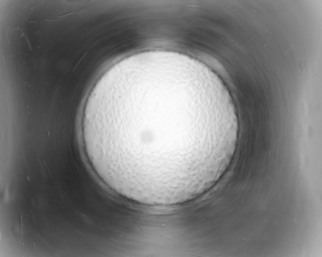 X0000088071440200706081701