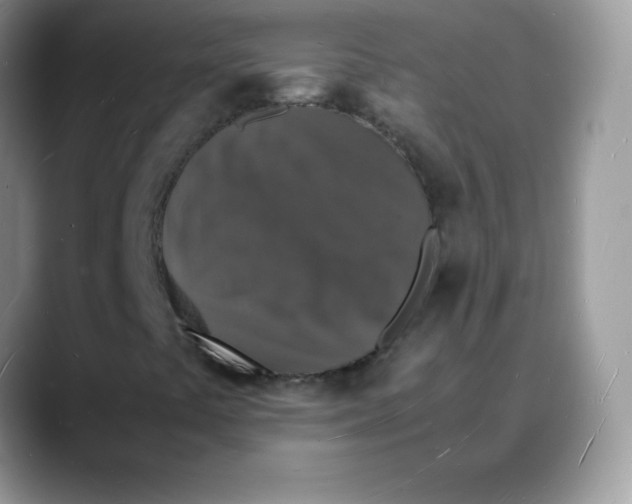 X0000088071441200706081700