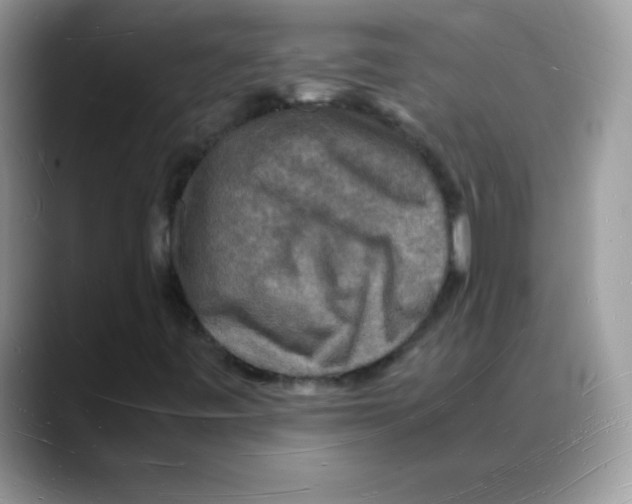 X0000088071443200706081700
