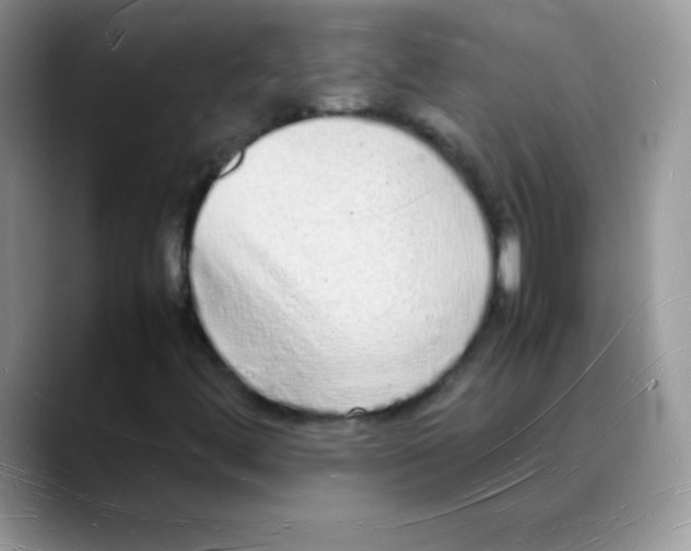 X0000088071444200706081700