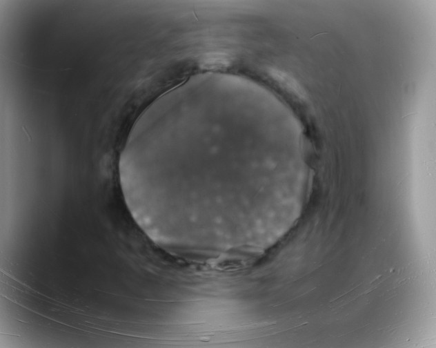 X0000088071445200706081700