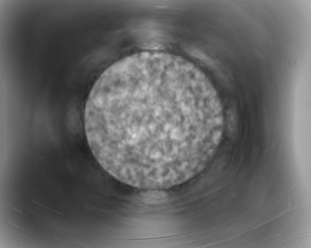 X0000088071446200706081700