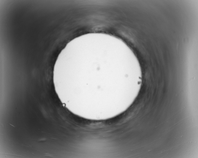 X0000088071447200706081700