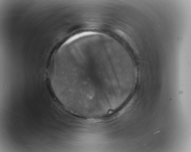 X0000088071449200706081700