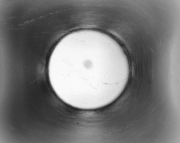 X0000088071452200706081700