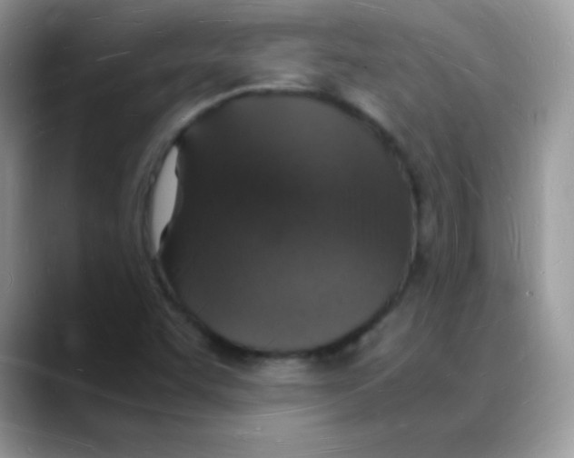 X0000088071455200706081700