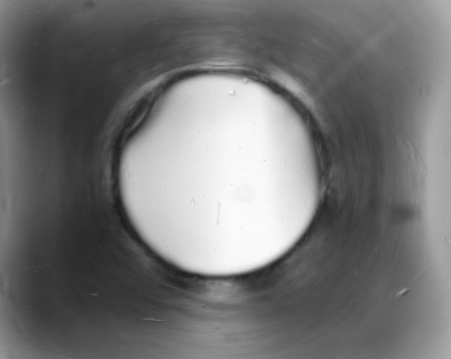 X0000088071456200706081700
