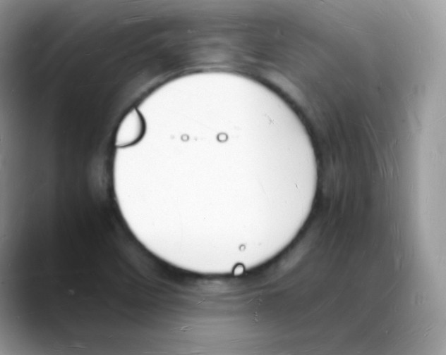 X0000088071458200706081700