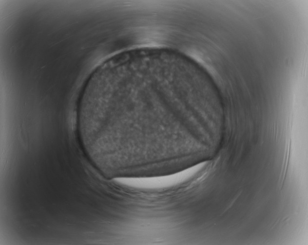 X0000088071459200706081700