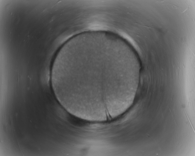 X0000088071461200706081700