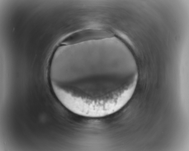 X0000088071463200706081700