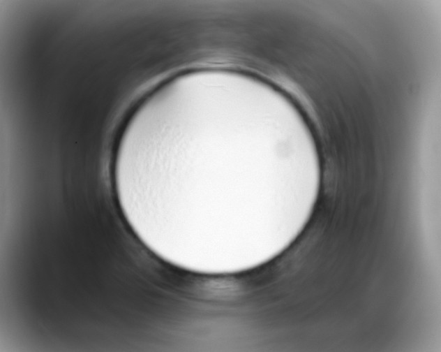 X0000088071464200706081700