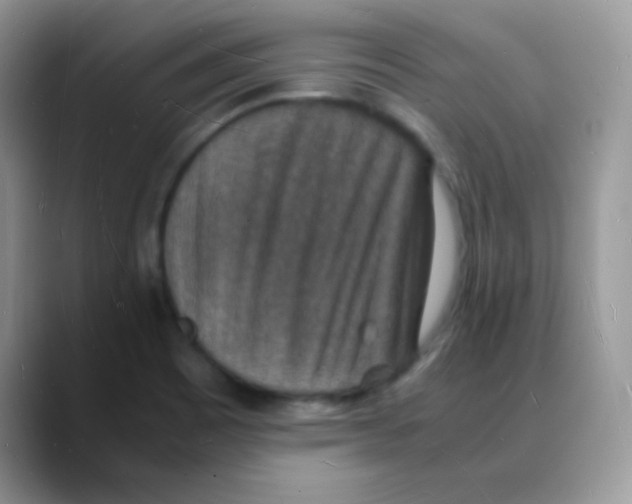 X0000088071465200706081700