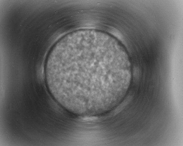 X0000088071466200706081700