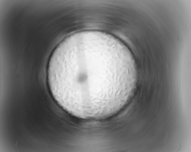 X0000088071467200706081700
