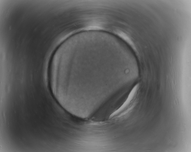 X0000088071469200706081700