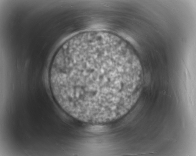 X0000088071470200706081700
