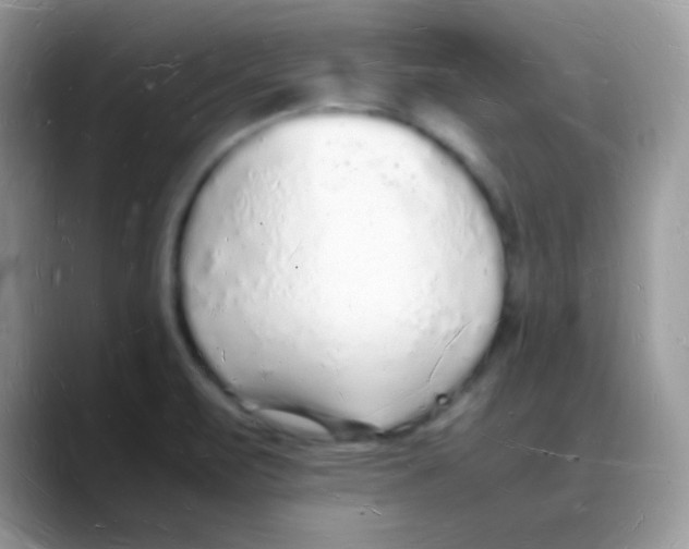 X0000088071471200706081700