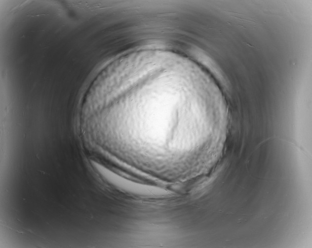 X0000088071473200706081659