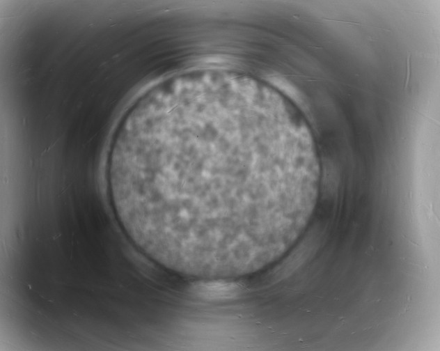 X0000088071474200706081659