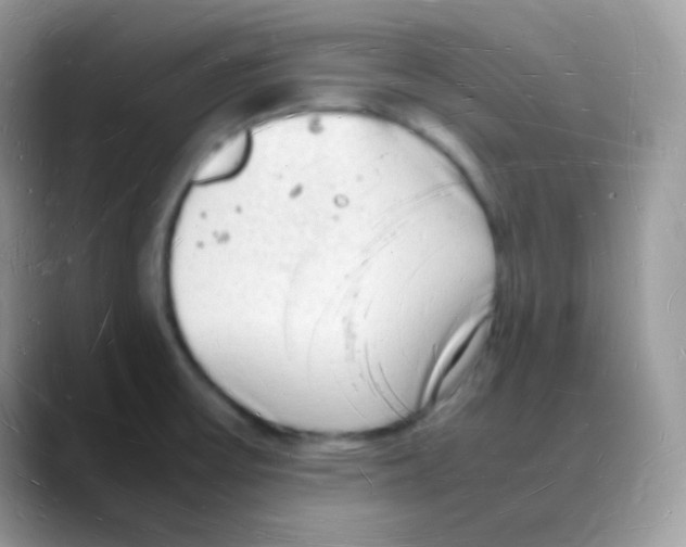 X0000088071475200706081659